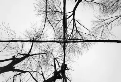 Billion Kasino Mobilní aplikace